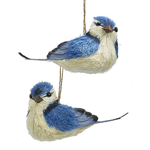 Blue Jay Sisal Bird Ornaments, 2 Assorted for Christmas