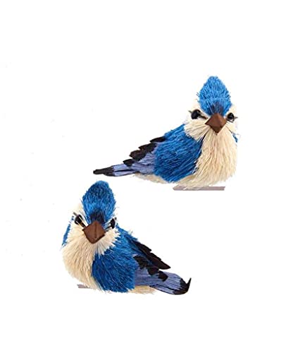 Blue Jay With Clip Ornaments, 2 Assorted
