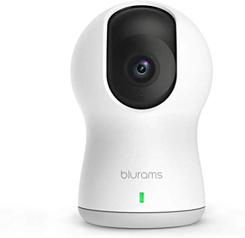 blurams Dome Pro: 1080p Security Camera with Facial Recognition and Night Vision