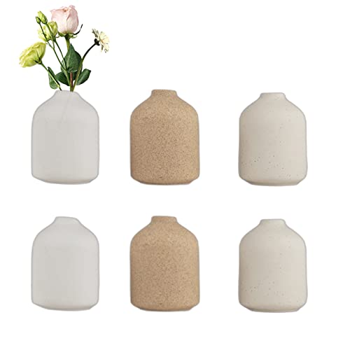Boho Vases for Dry Flowers & House Plants