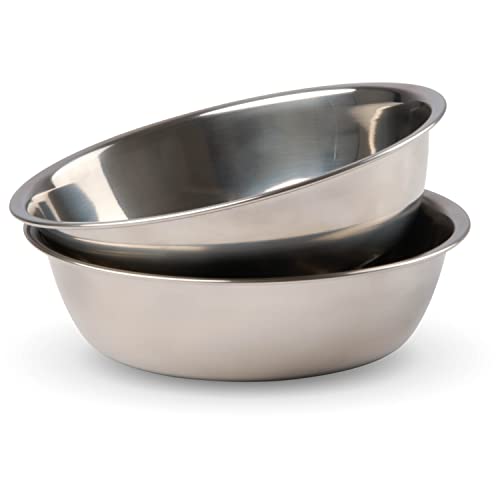Bonza Stainless Steel Dog Bowls Set