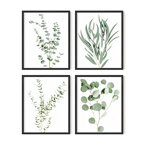 Botanical Plant Wall Art Prints