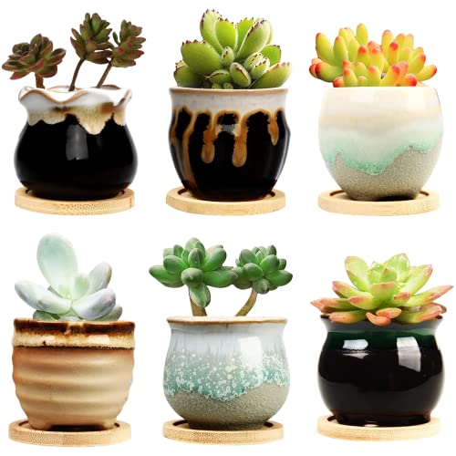 Brajttt Succulent Pot Set with Drainage