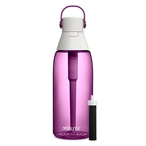 Brita Insulated Water Bottle with Straw