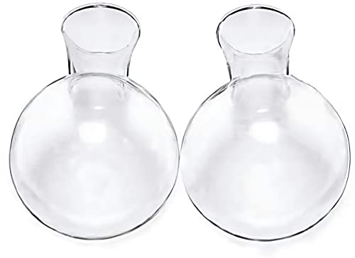 Bulb Forcing Vase 2 Pack