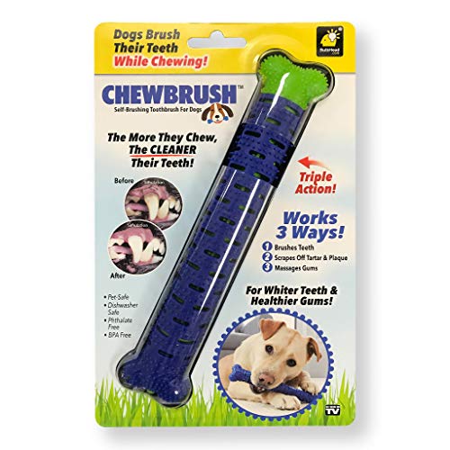 BulbHead Chewbrush Toothbrush Dog Toothbrush and Dog Toy