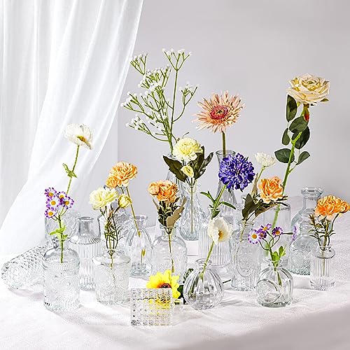 Bulk Clear Glass Bud Vases Set