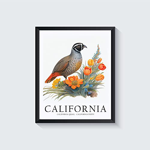 California State Bird And Flower Art Print