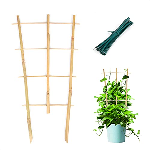 Cambaverd 3 Pack Bamboo Trellis for Indoor Mini Climbing Plants