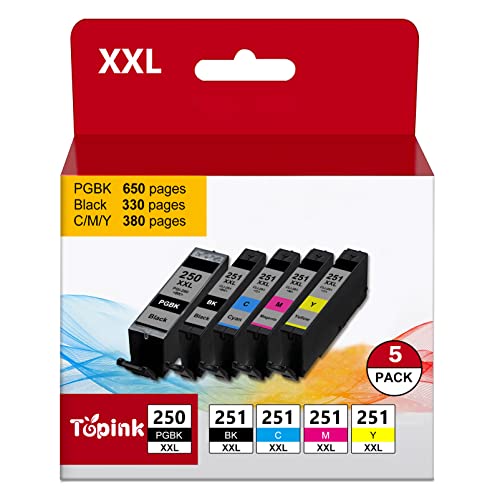 Canon Printer Ink 250 and 251 Cartridges XXL