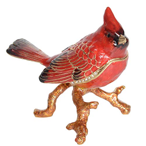 Cardinal Parrot Trinket Box Jewelry Box