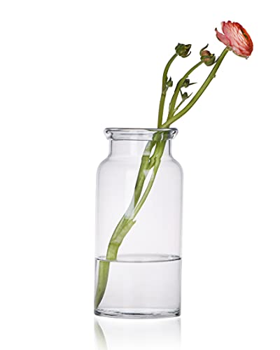 CASAMOTION Glass Vase for Flower - Modern Decor Rustic Cylinder Centerpiece