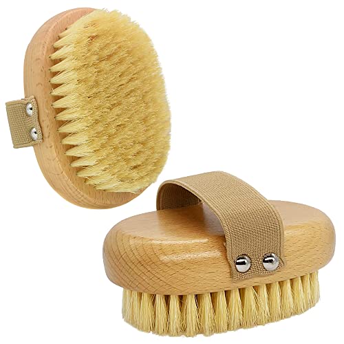 Casidoxi Pet Bristle Brush