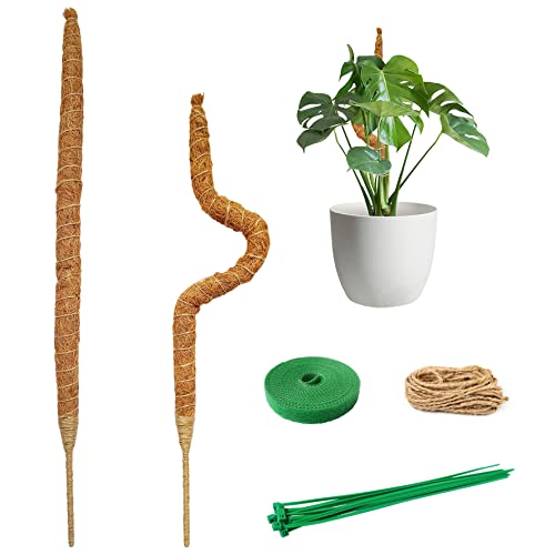 CASIMR Bendable Moss Pole for Plant Monstera