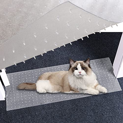 Cat Carpet Protector for Doorway