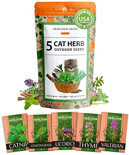 Cat Grass Seeds - Indoor Cat Grass Growing Kit