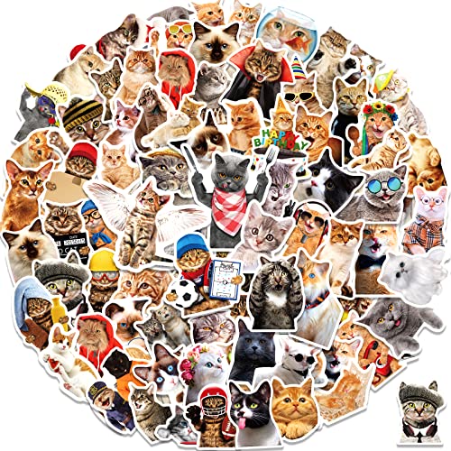 Cat Stickers Variety Pack