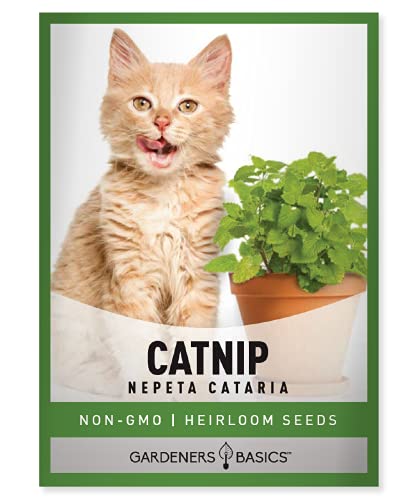 Catnip Seeds for Planting