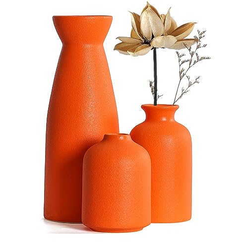 CEMABT Ceramic Orange Vases Set