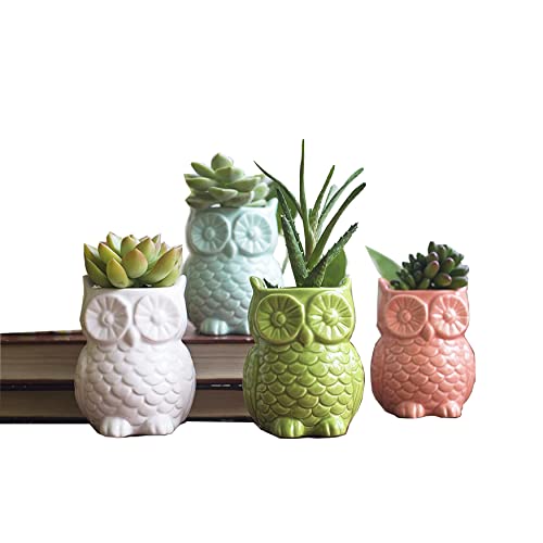 Ceramic Owl Succulent Planter Pots