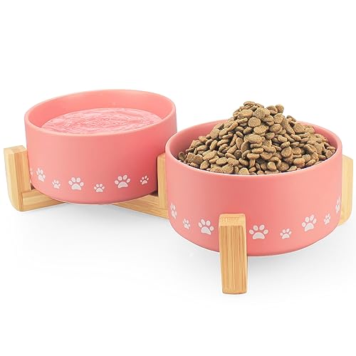 Ceramic Pet Bowl with Raised Wooden Stand - Pink