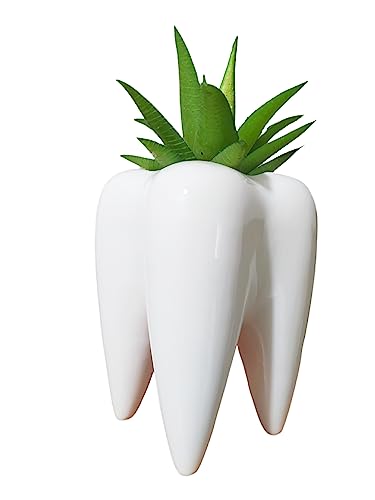 Ceramic Tooth Shaped Succulent Flower Pot