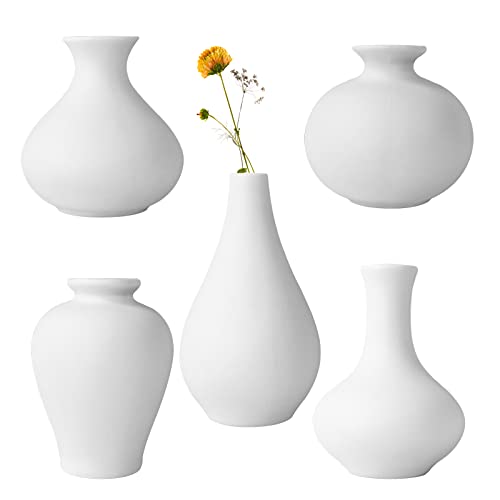 Ceramic Vase Set, 5 White Mini Flower Bud Vase, Flower Vases for Modern Home Decor, Decorative Vase for Pampas Grass, Living Room, Shelf Decor, Dining Table, Bookshelf, Mantel, Entryway (White)