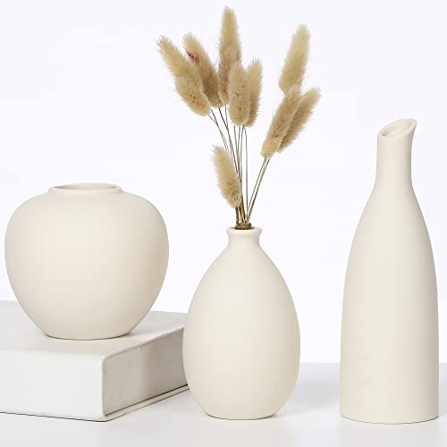 Ceramic Vase Sets for Elegant Home Decor