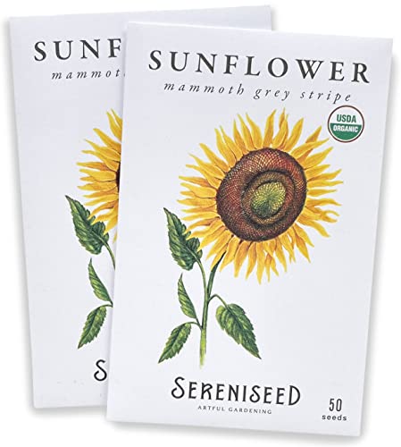 Certified Organic Mammoth Grey Stripe Sunflower Seeds (2-Pack)