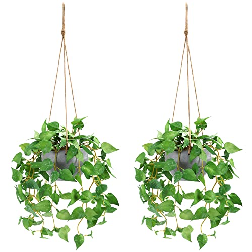 CEWOR Artificial Hanging Plants