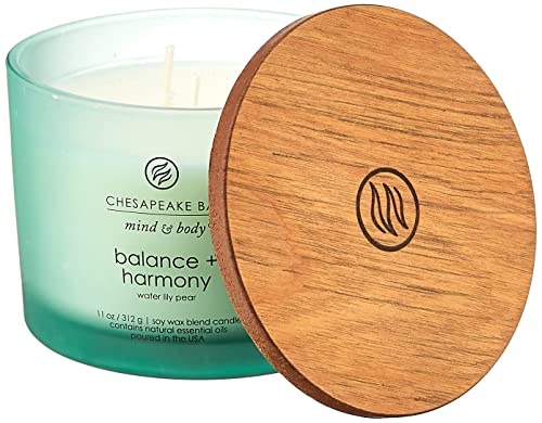 Chesapeake Bay Candle Scented Candle