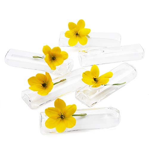 Chive - Set of 6 Small Clear Glass Bud Vase