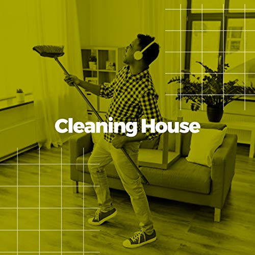 Cleaning House: The Ultimate Cleaning Technology