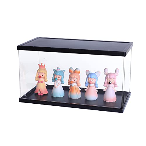 Clear Display Case with Black Lid and Base