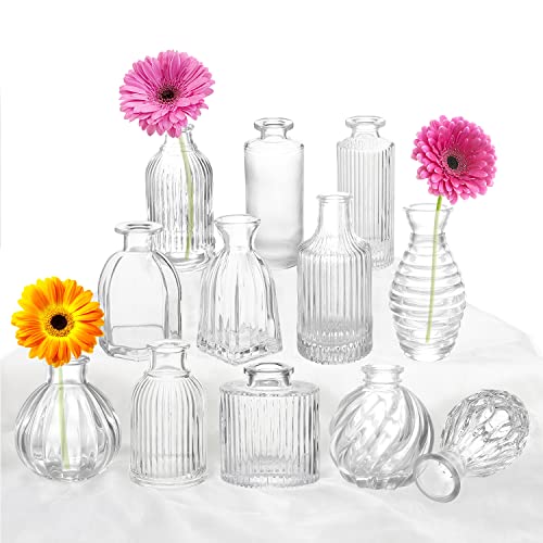 Clear Glass Bud Vases Set of 12 - Small Vases for Flowers