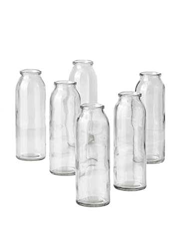Clear Glass Bud Vases, Set of 6