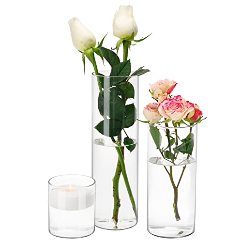 Clear Glass Cylinder Vase Set