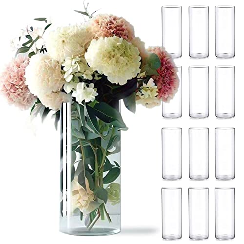 Clear Glass Cylinder Vases for Centerpieces