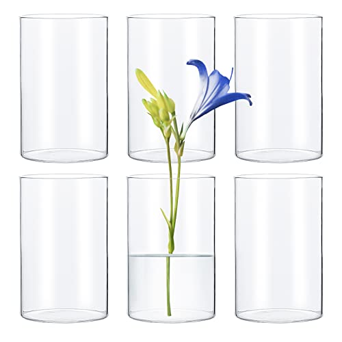 Clear Glass Cylinder Vases - Pack of 6