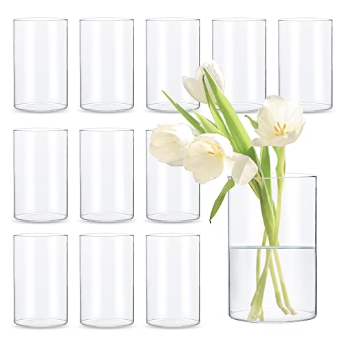 Clear Glass Cylinder Vases - Set of 12 Pack