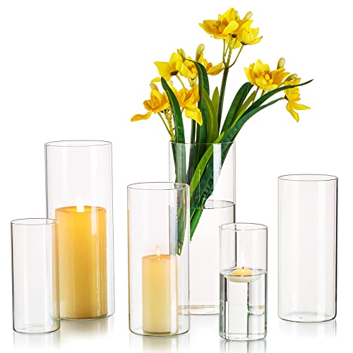 Clear Glass Cylinder Vases Set of 6