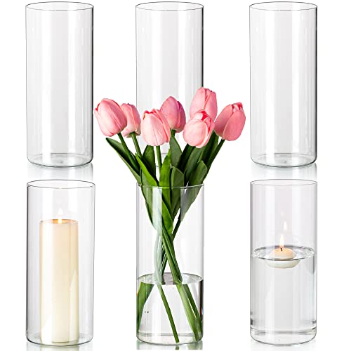 Clear Glass Cylinder Vases Set of 6 for Elegant Home Decor