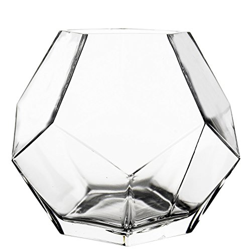 Clear Glass Geometric Terrarium Bowl