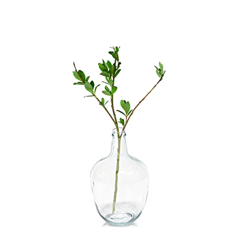 Clear Glass Vase for Home Decor