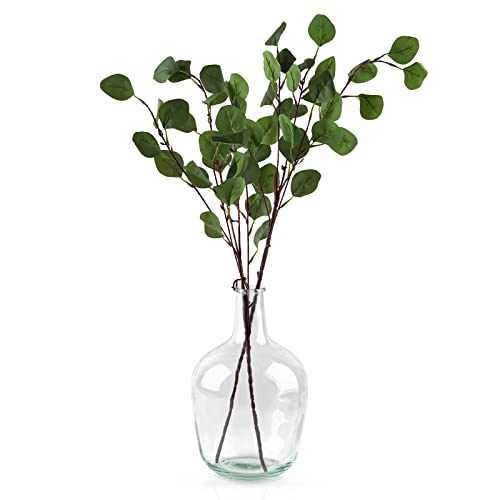 Clear Glass Vase for Home Decoration and Special Occasions