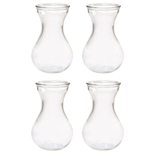 Clear Glass Vase Hydroponic Flower Container