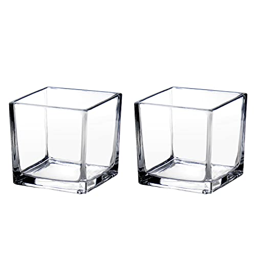 Clear Glass Vase - Set of 2