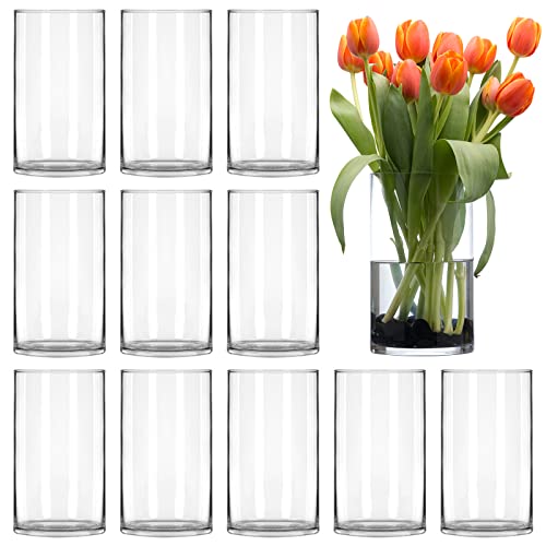 Clear Glass Vases - Set of 12 for Home Decoration and Weddings