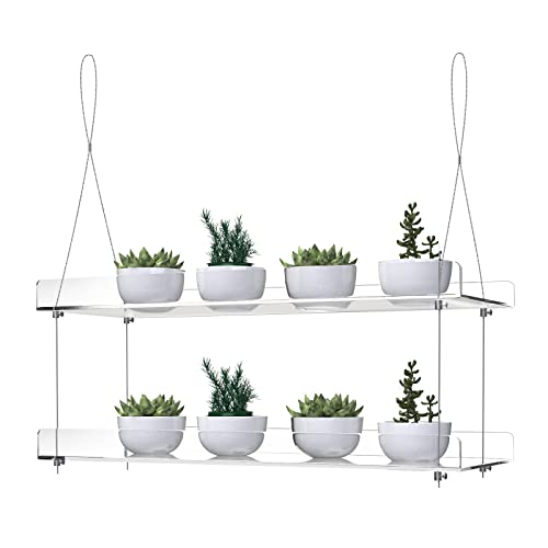 Clear Hanging Indoor Windows Wall Plant Shelf