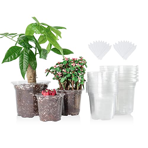 Clear Nursery Pots Variety Pack